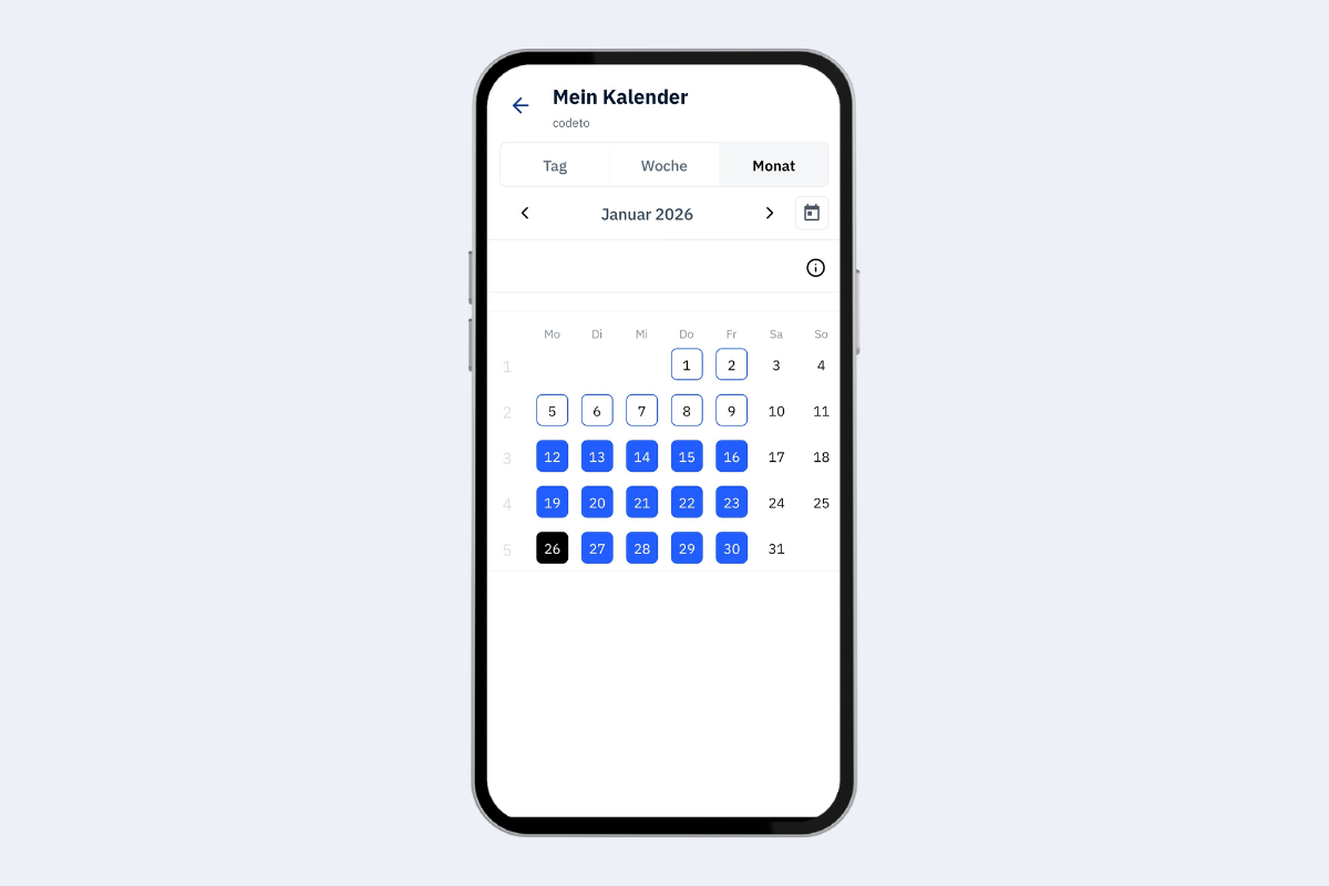 Mobile App - calendar month view
